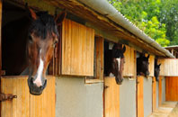 free Omunsgarth stable construction quotes